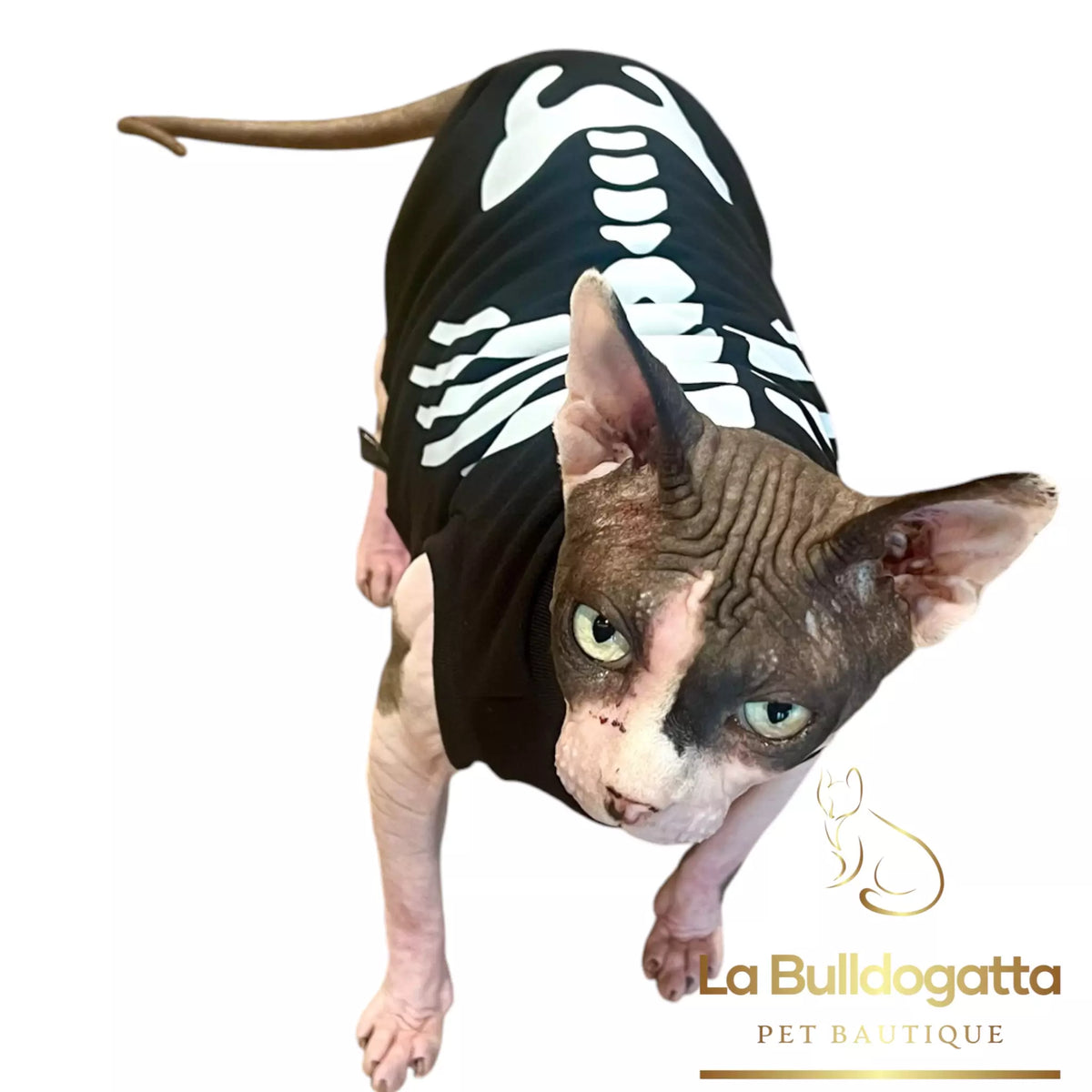 Vestitino sphynx Skeleton - edizione limitata -  IN ARRIVO
