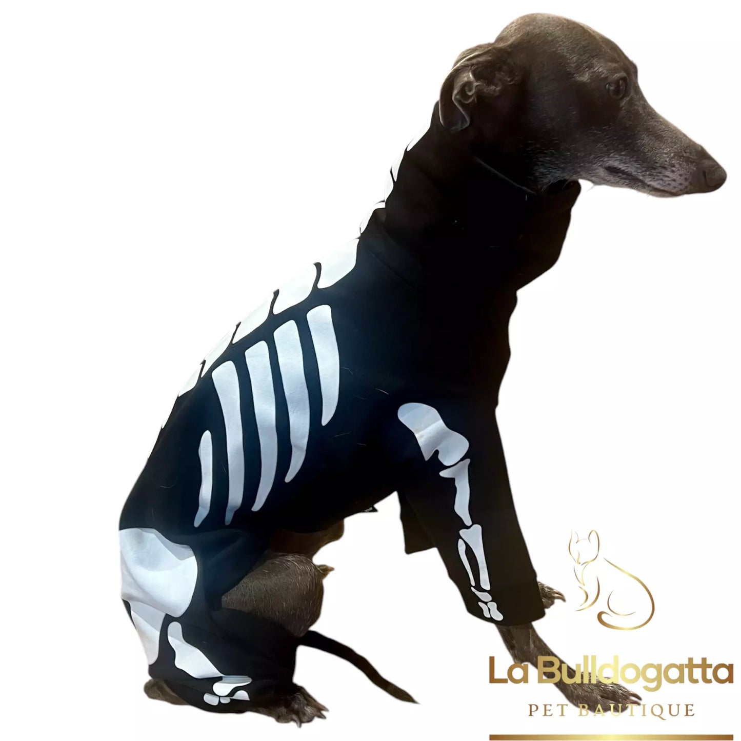 Tutina Skeleton TAGLIA M long - PICCOLO LEVRIERO ITALIANO