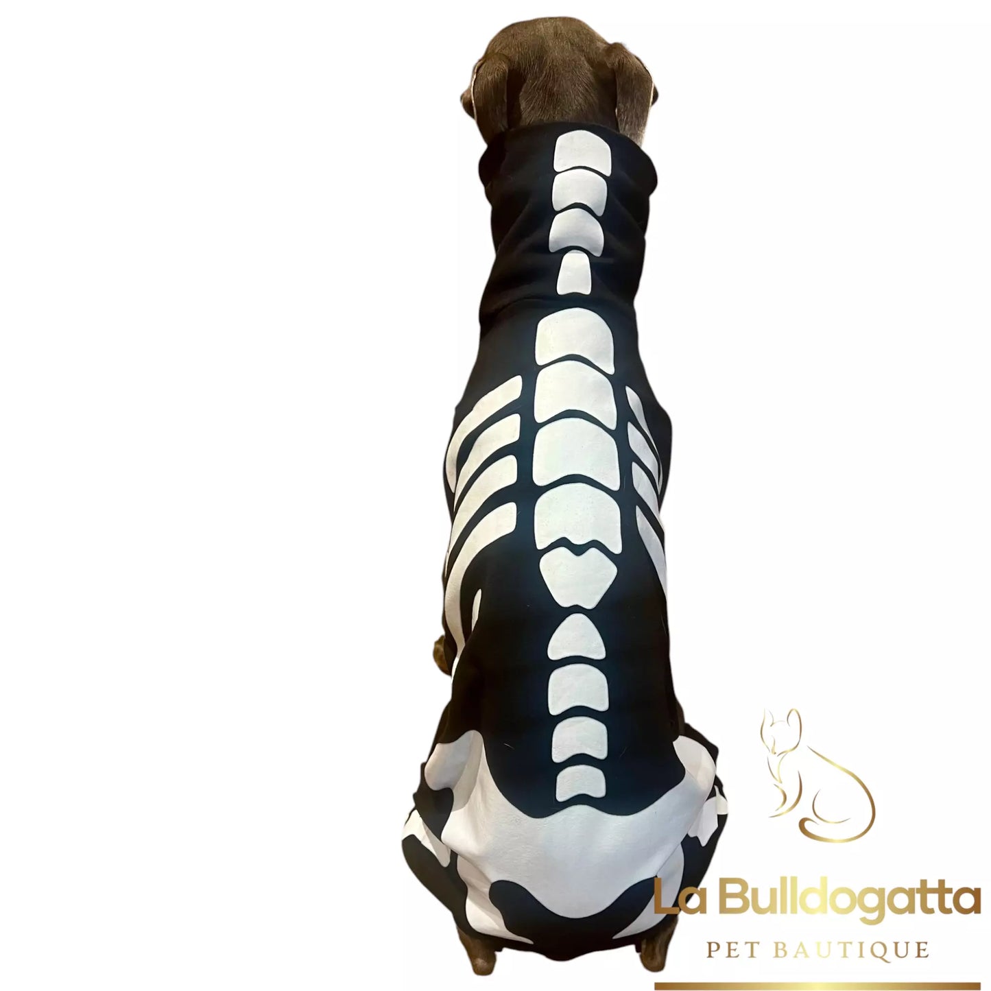 Tutina Skeleton TAGLIA M long - PICCOLO LEVRIERO ITALIANO