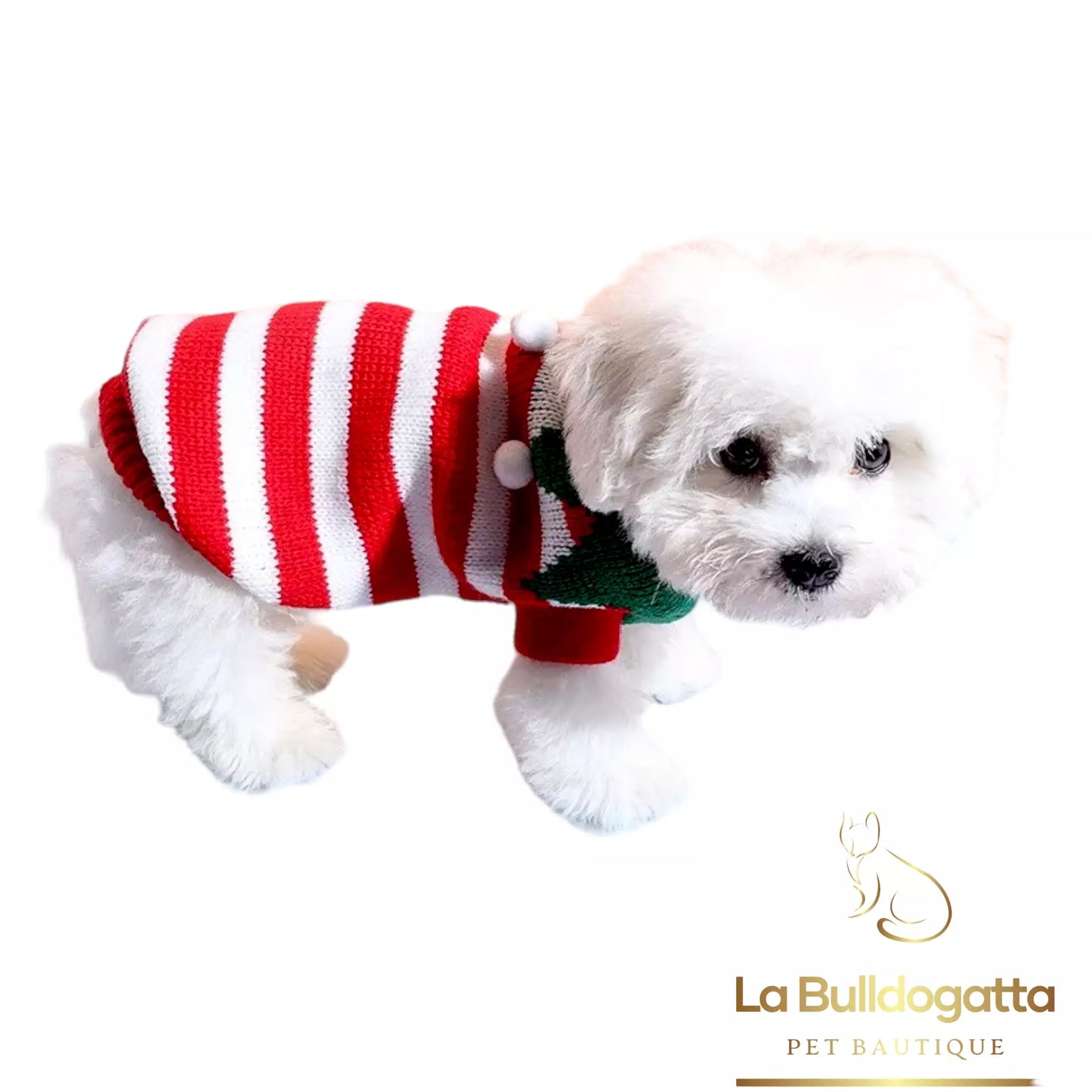 Elf Christmas dog sweater