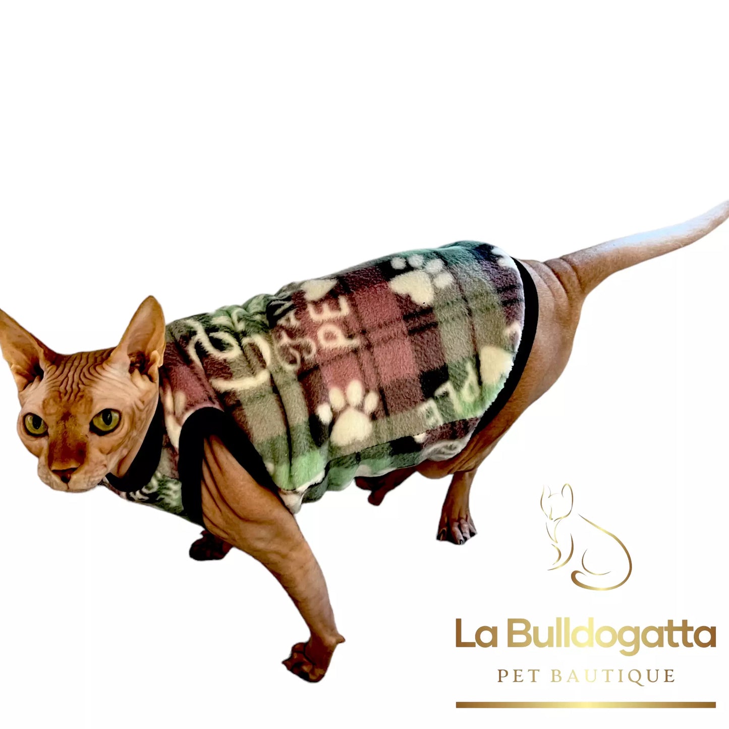CATS ARE MY FAV PEOPLE sphynx dress