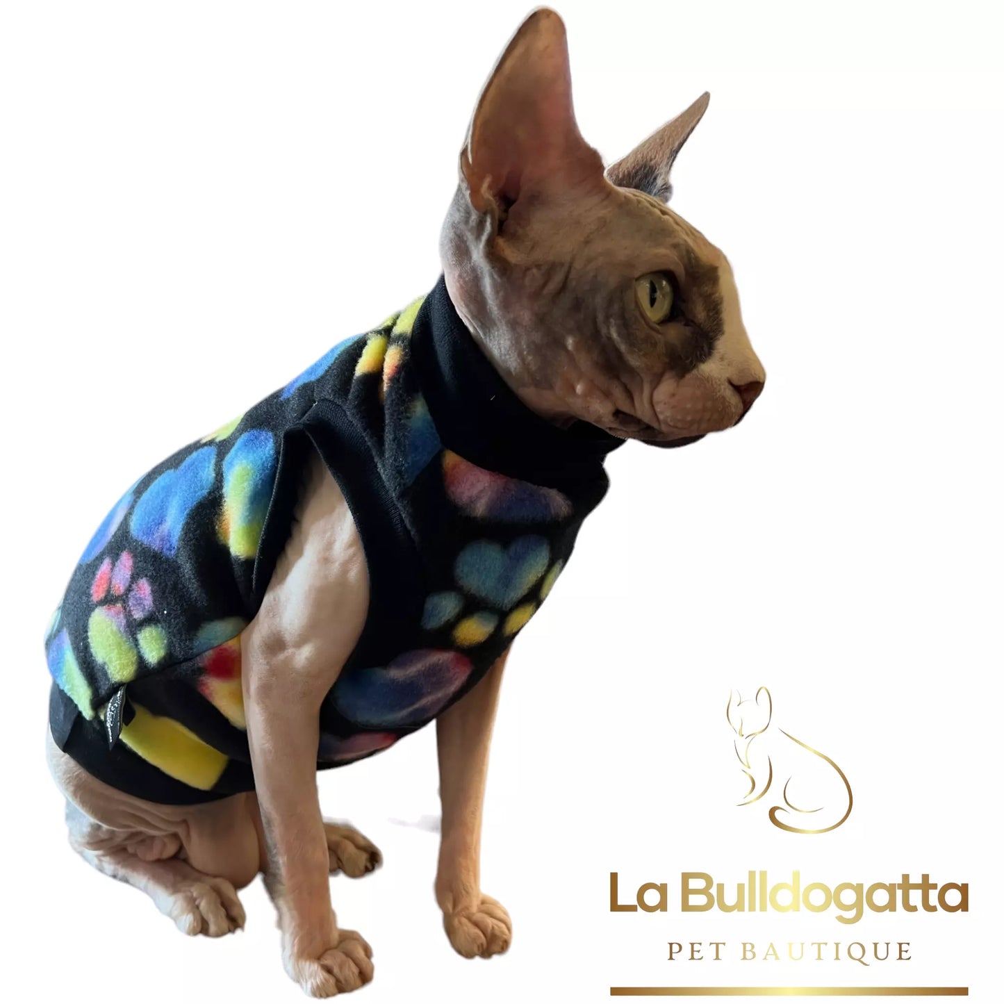 RAINBOW PAWPRINTS sphynx dress