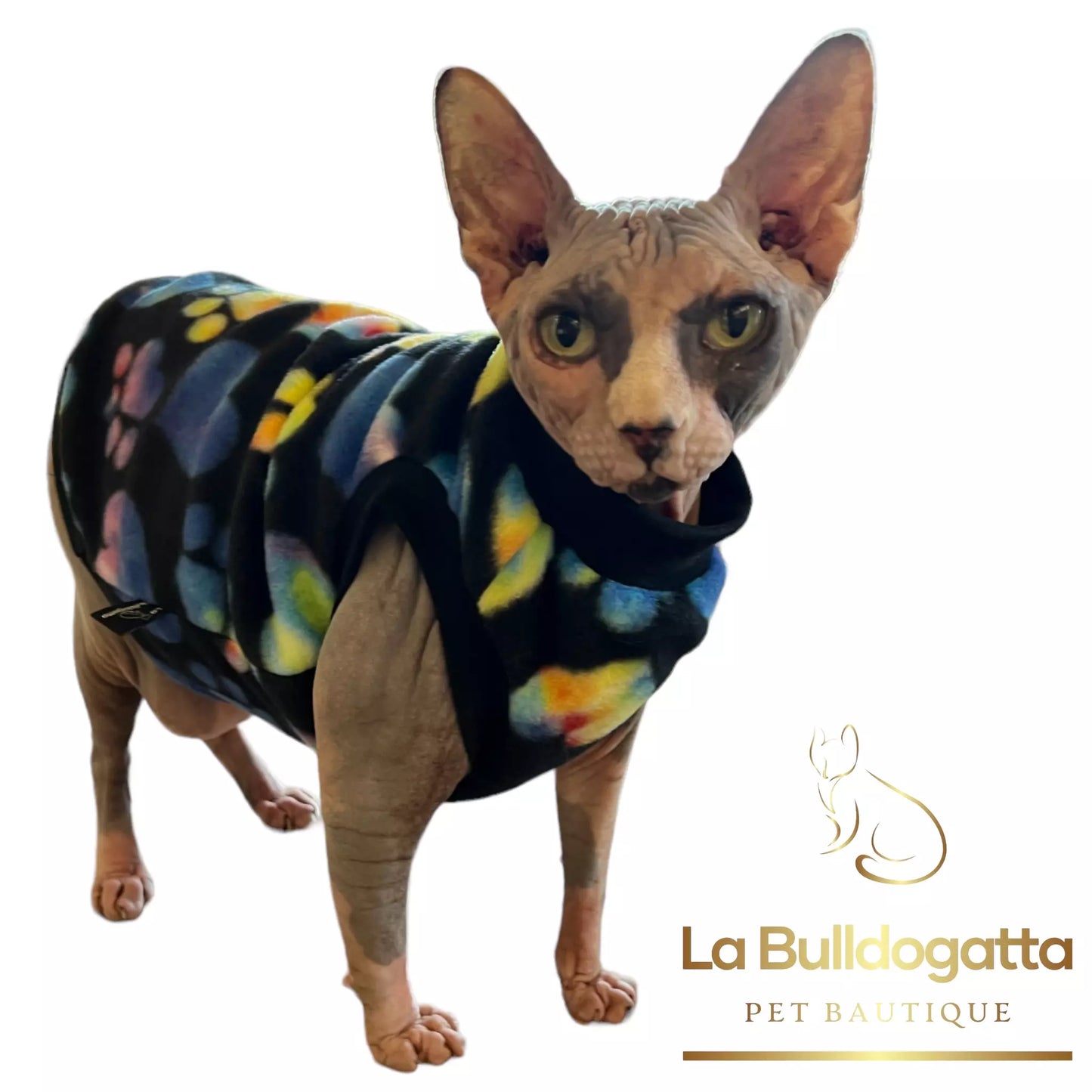 RAINBOW PAWPRINTS sphynx dress