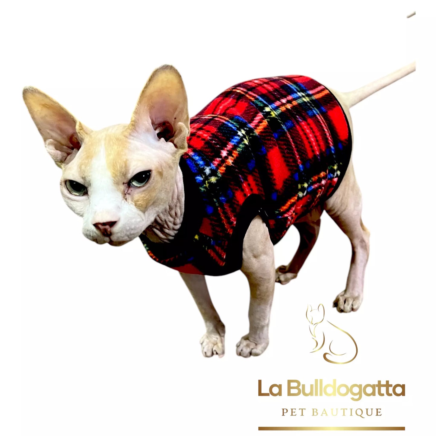 Vestitino sphynx SCOZZESE rosso-azzurro