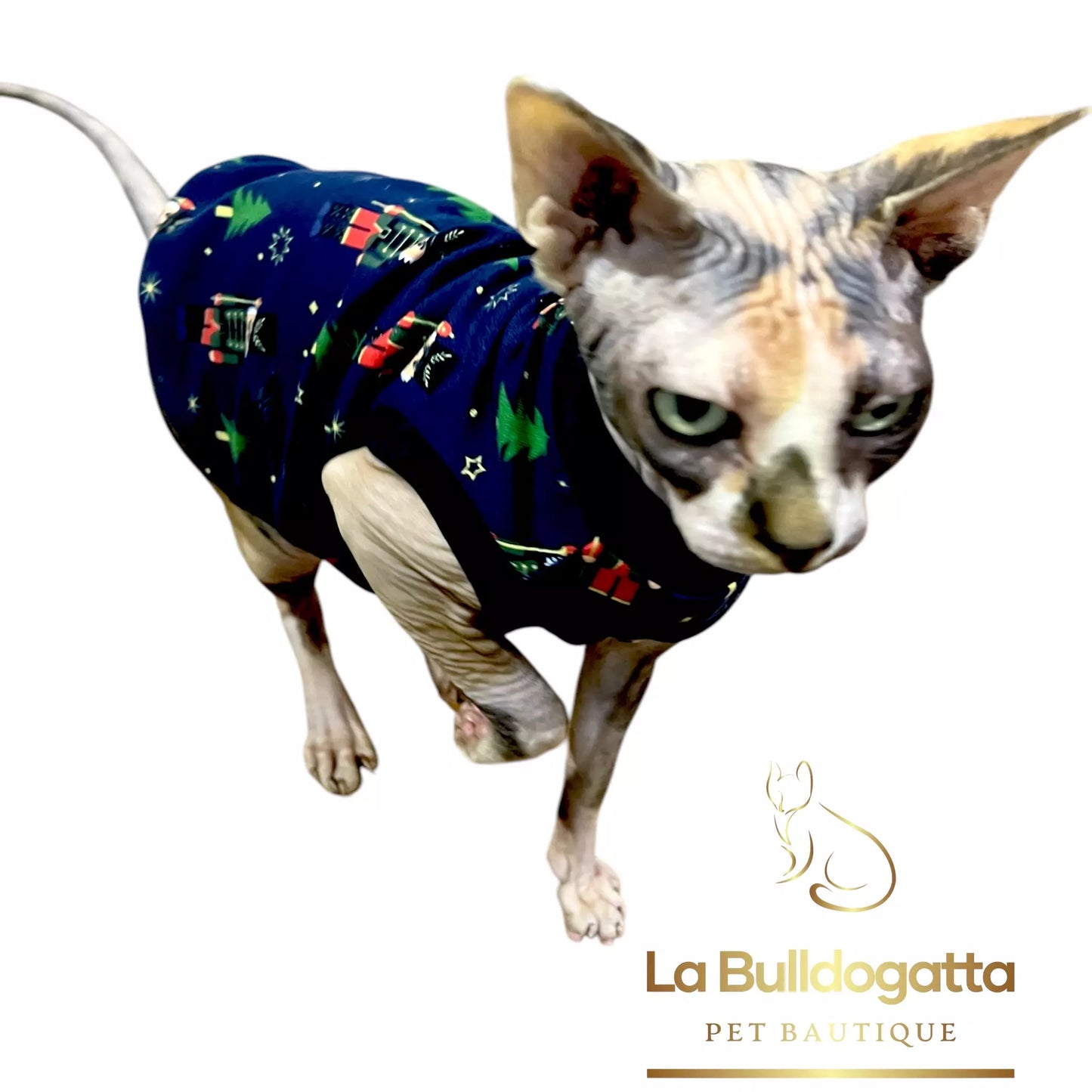 Vestitino sphynx SCHIACCIANOCI basic