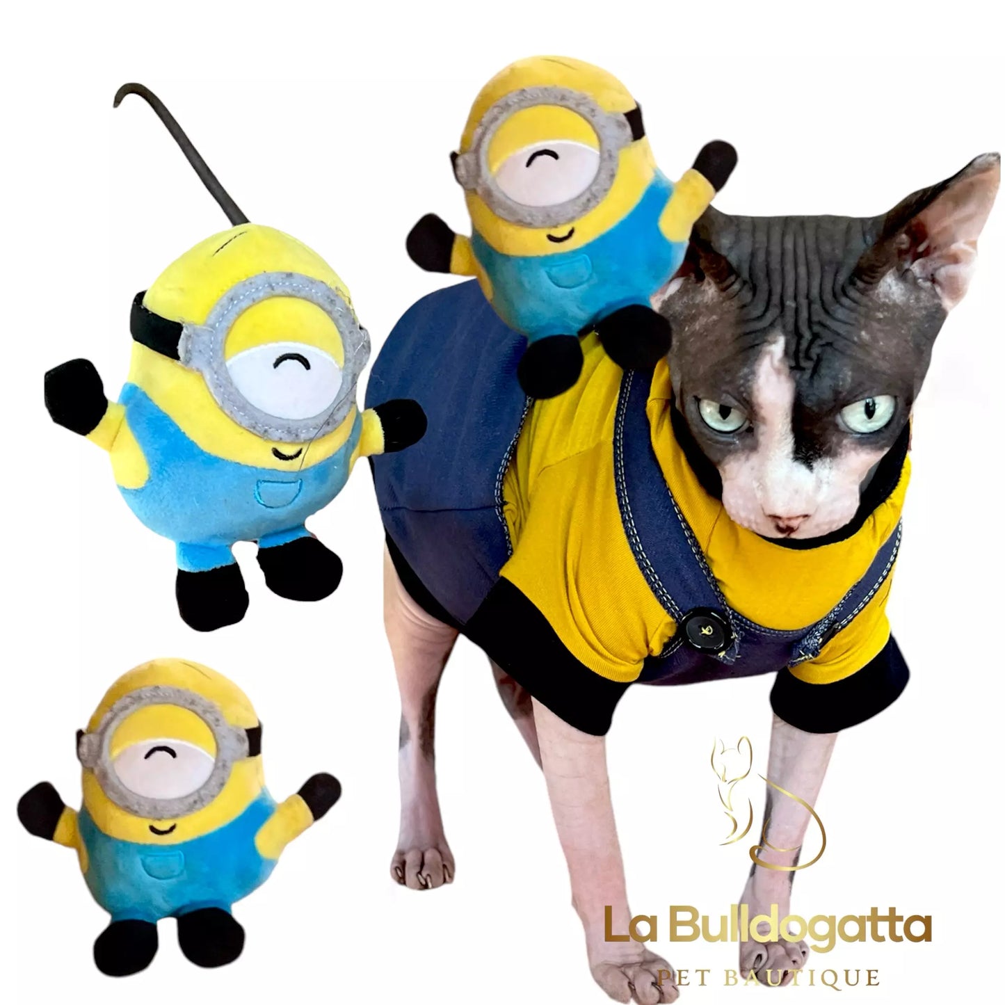 Vestitino sphynx SALOPETTE MINIONS- SU MISURA
