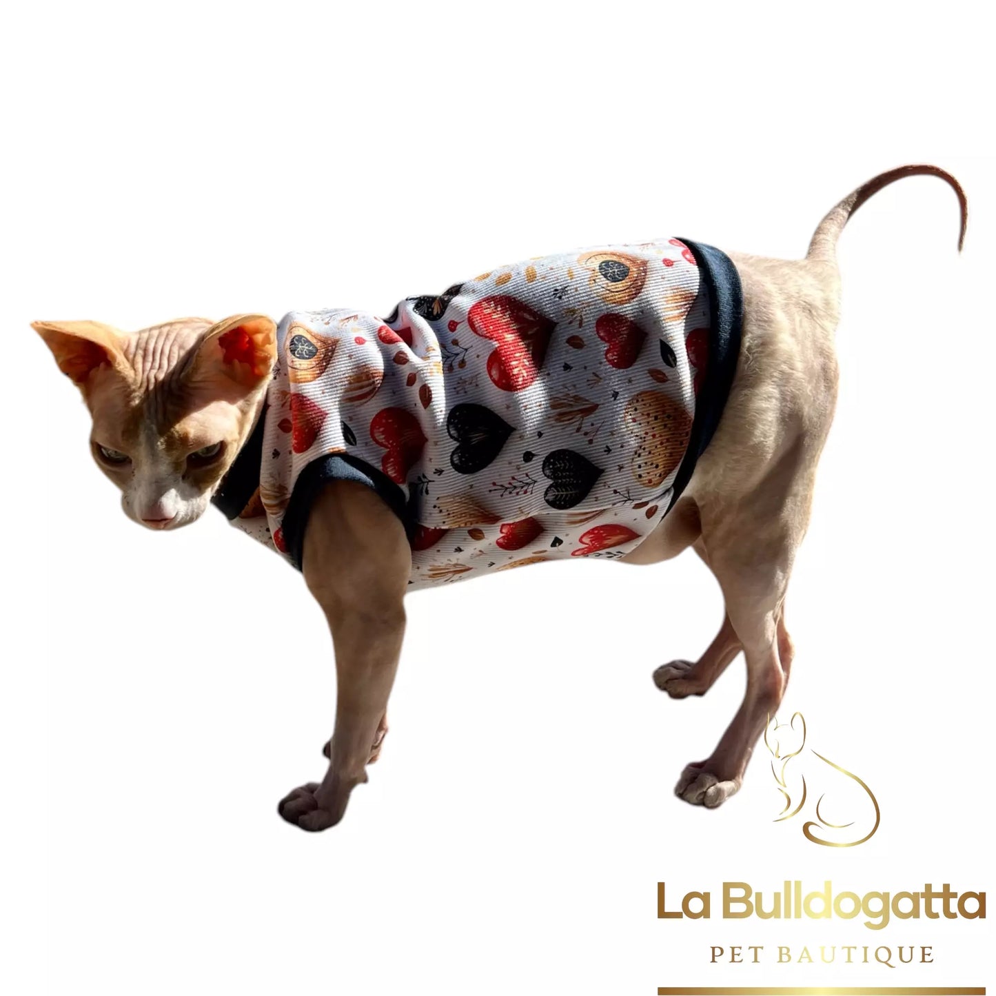 Vestitino sphynx costine CUORICINI