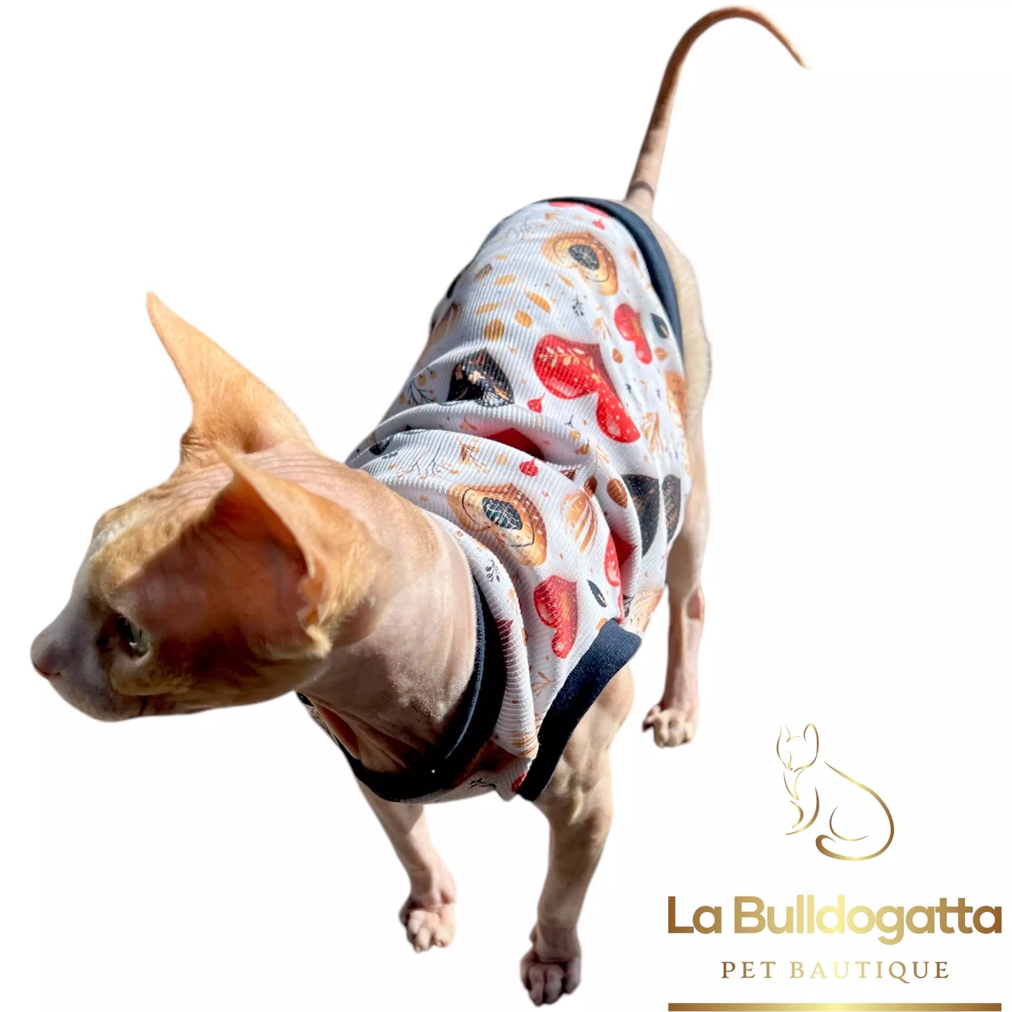Vestitino sphynx costine CUORICINI