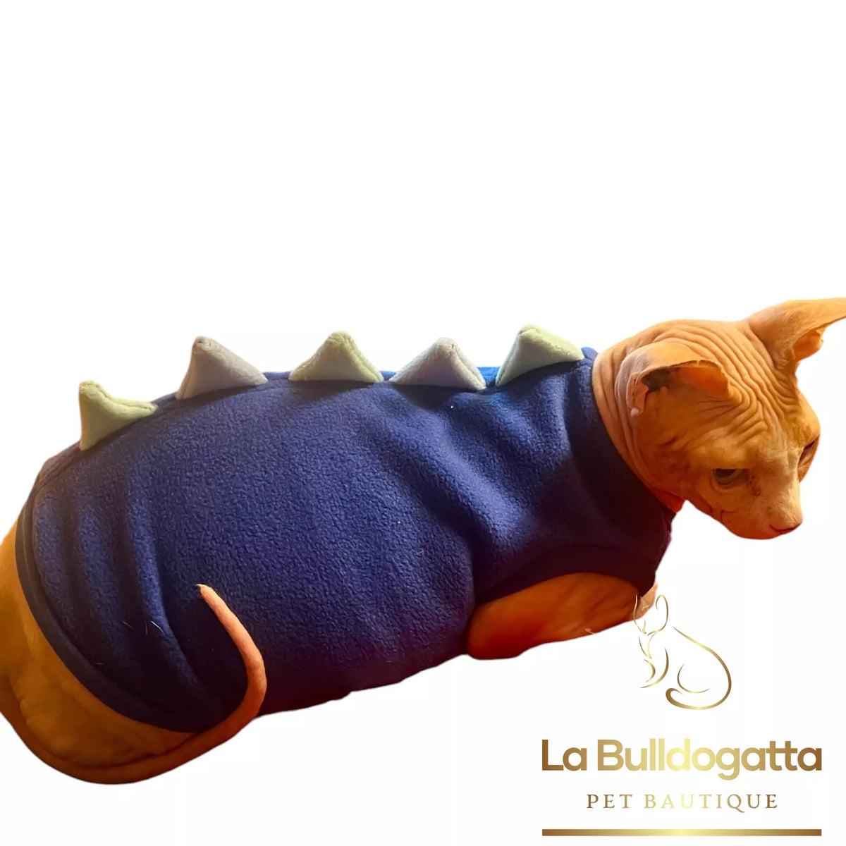 Vestitino sphynx DRAGHETTO blu
