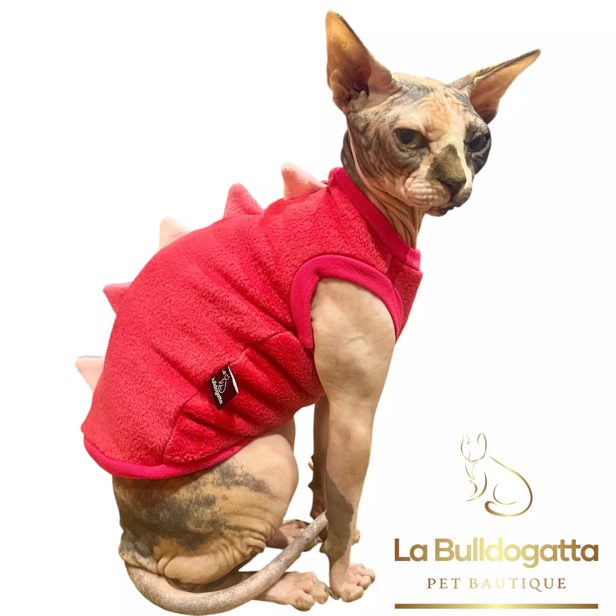 Vestitino sphynx DRAGHETTO fucsia