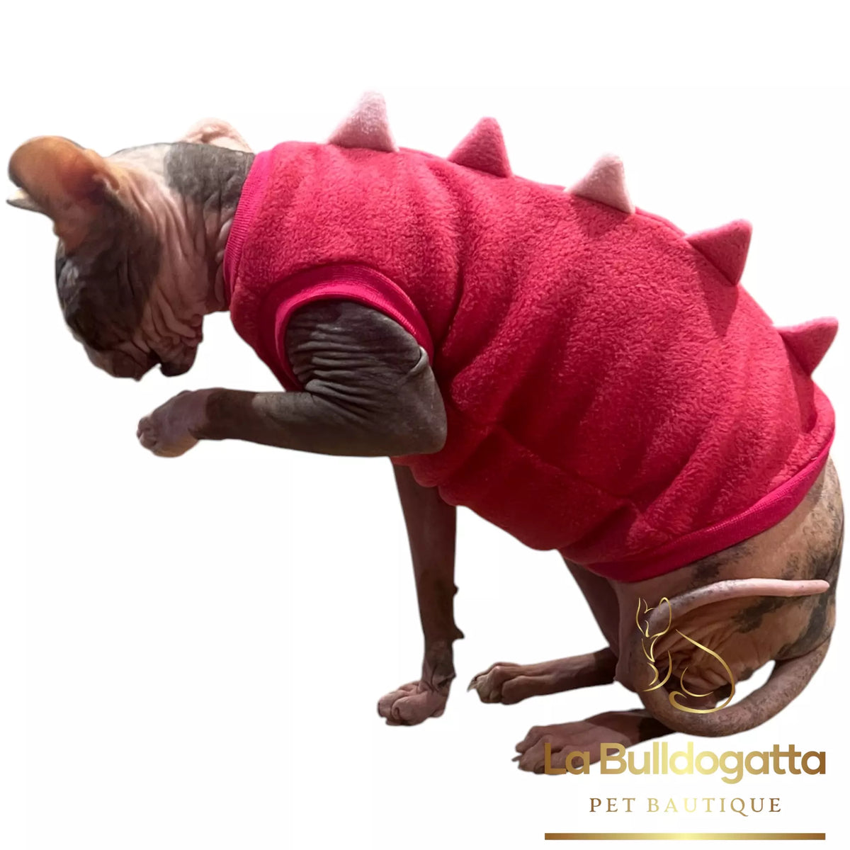 Vestitino sphynx DRAGHETTO fucsia