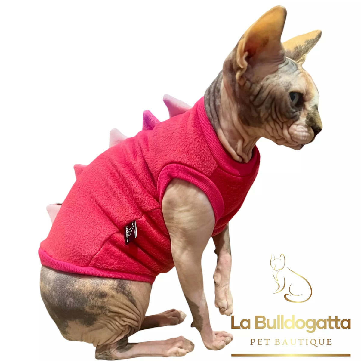 Vestitino sphynx DRAGHETTO fucsia