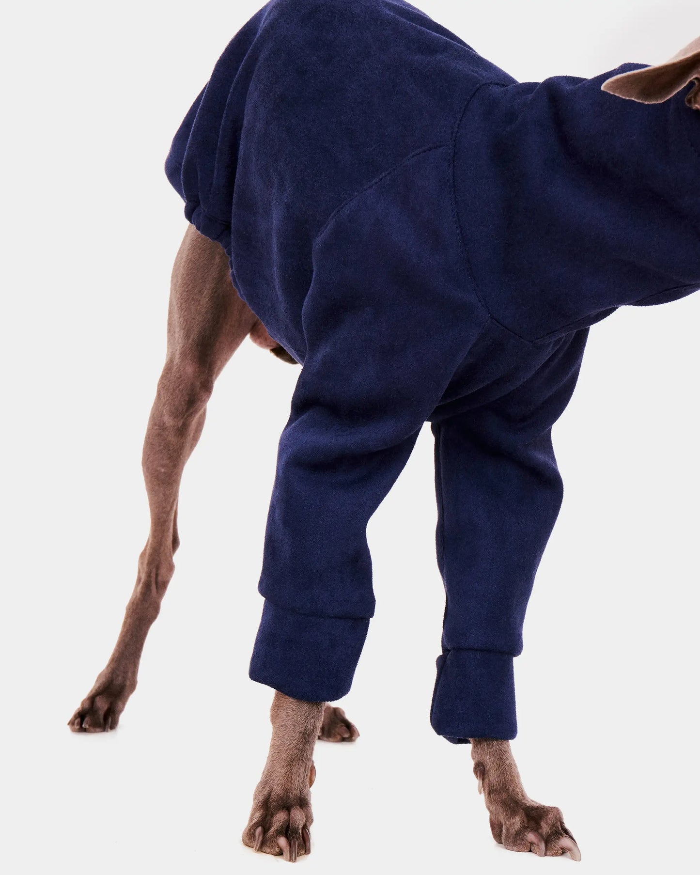 BLUE SWEATSHIRT WITH SLEEVES FOR GALGO SIGHThounds 