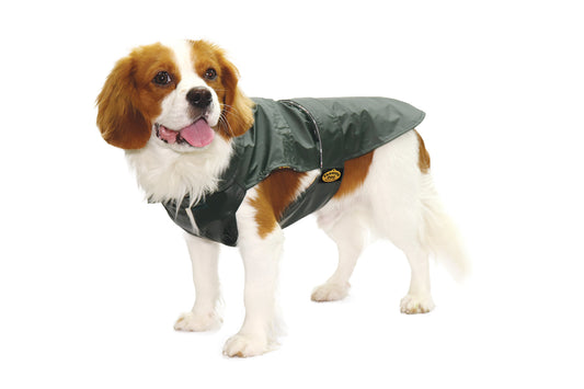 Loden raincoat for dogs with tartan internal lining