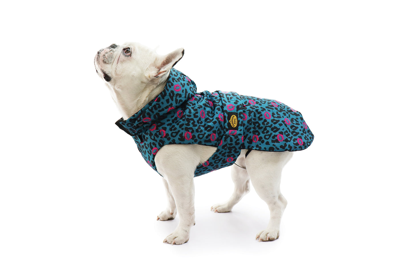 Quilted raincoat with removable hood PUG AND BULLDOG