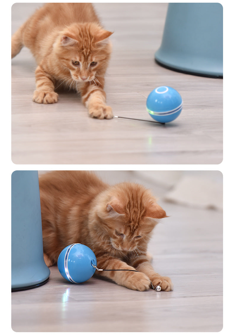 Gioco gatto Pallina intelligente a  LED