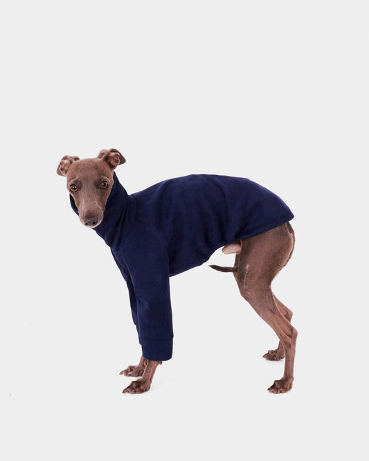 BLUE SWEATSHIRT WITH IGGY GREYHOUND SLEEVES 