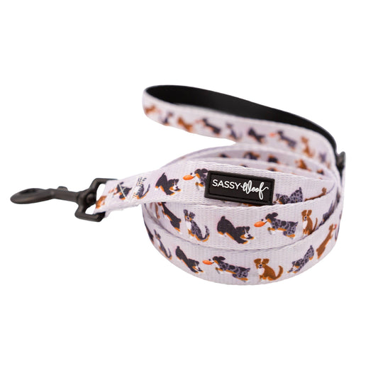 Guinzaglio in tessuto Too Much Auss - 'Too Much Auss' Dog Fabric Leash