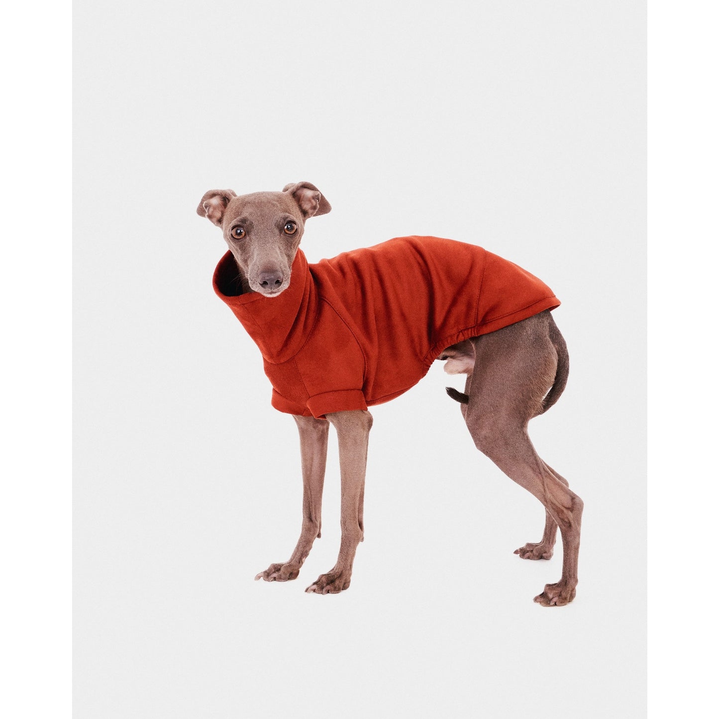 RED SLEEVELESS HOODIE FOR IGGY GREYHOUNDS 
