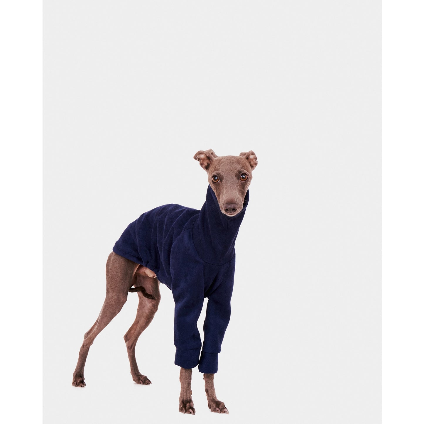 BLUE SWEATSHIRT WITH SLEEVES FOR WHIPPET GREYHOUNDS