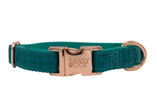 Napa Dog Collar - 'Napa' Dog Collar