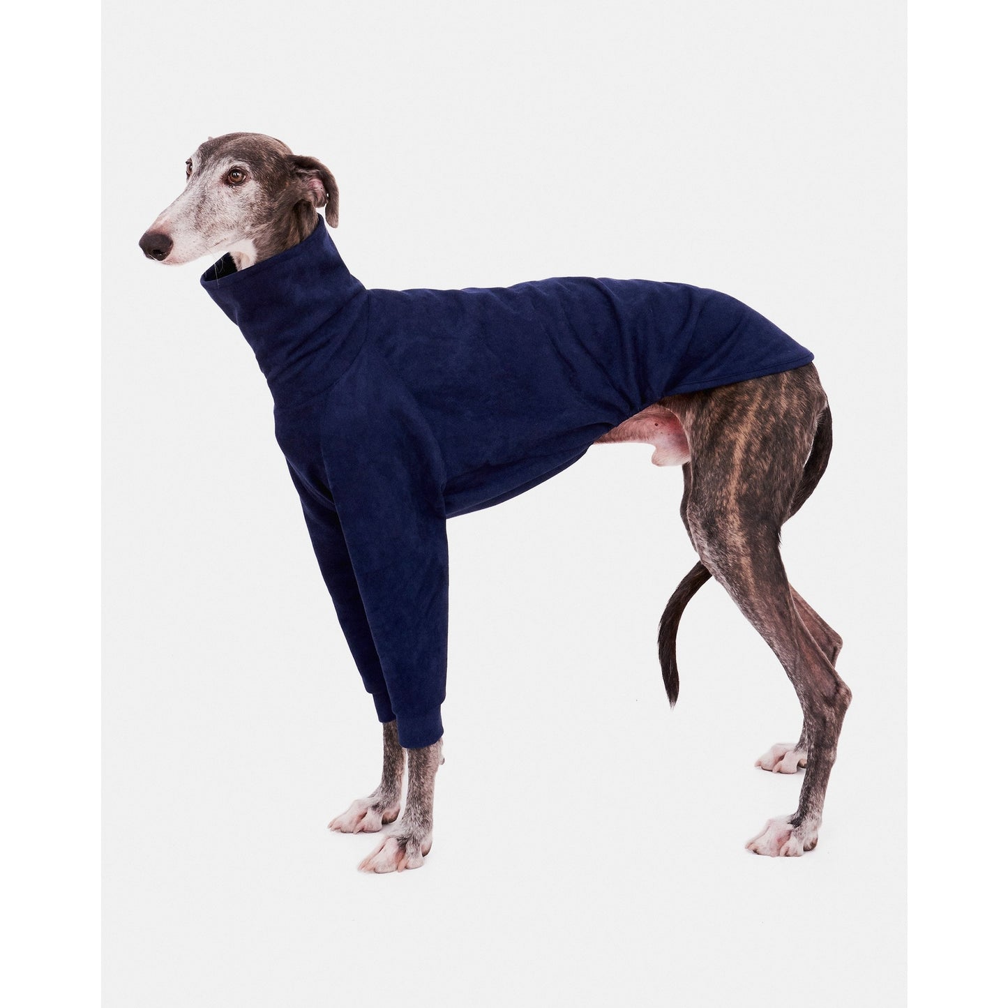 BLUE SWEATSHIRT WITH SLEEVES FOR GALGO SIGHThounds 