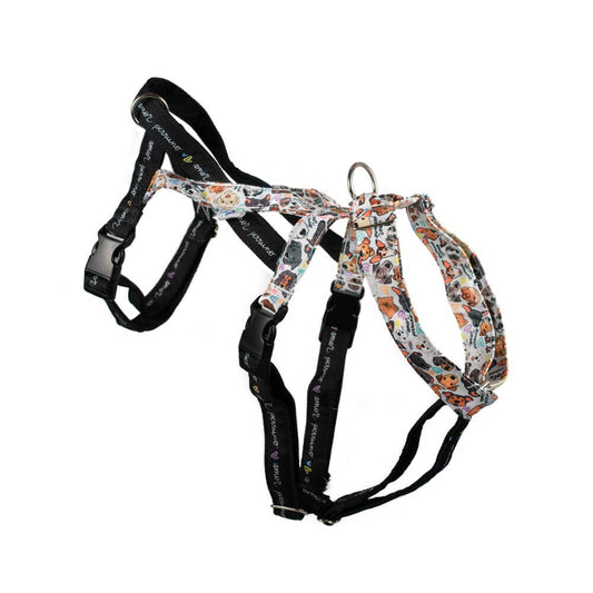 Imbracatura anti-fuga XY Perruno love