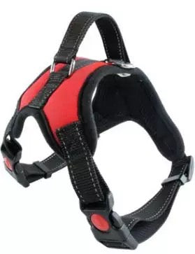 Harness Adjustable harness with NO PULL handle