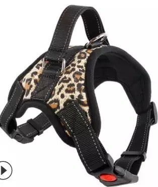Harness Adjustable harness with NO PULL handle