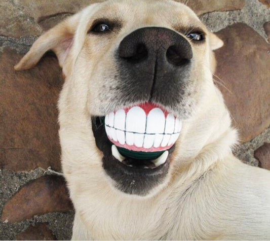 Pallina Tennis smile per cani