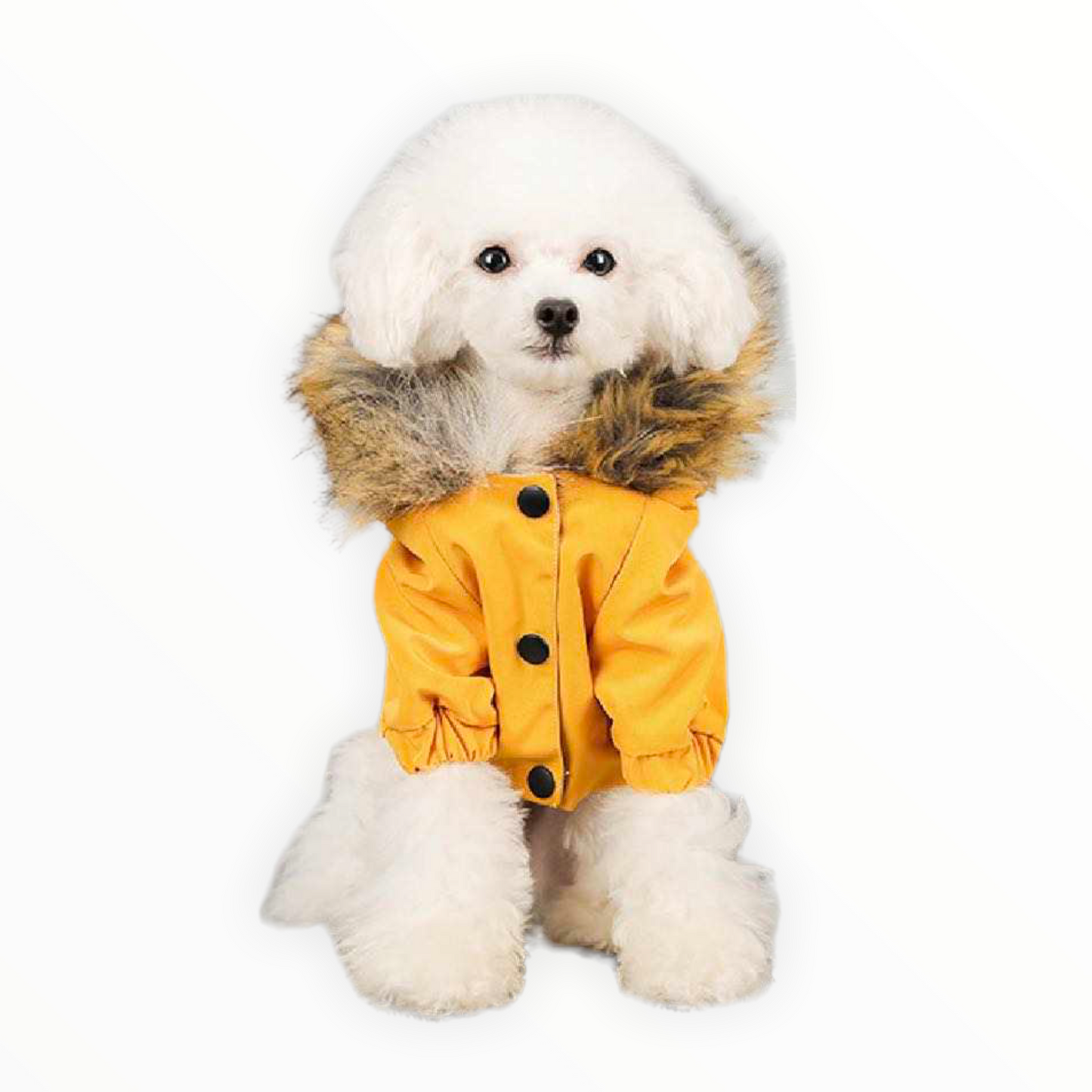 Igloo jacket with hood and synthetic fur insert