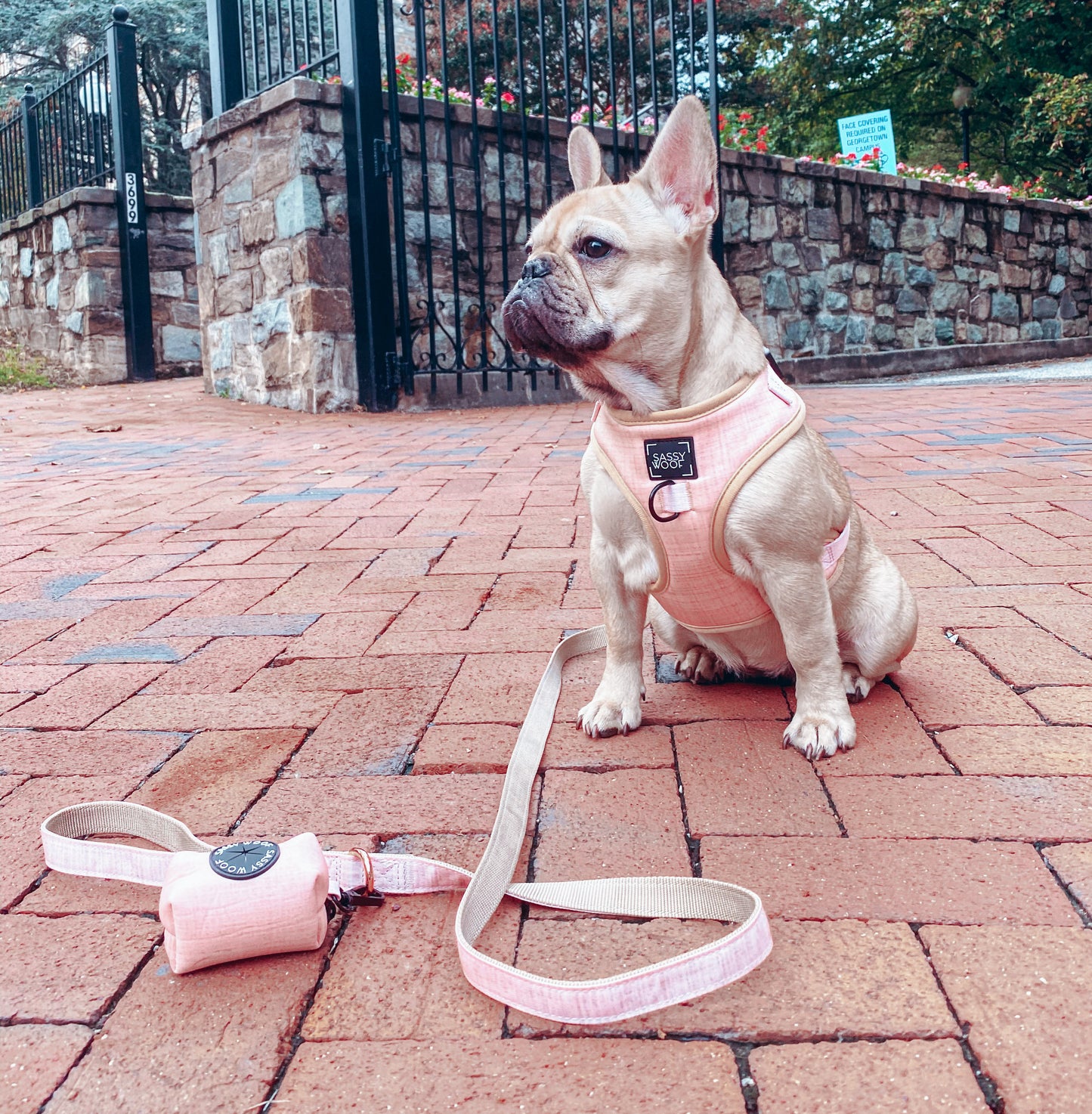 Borsetta portasacchetti Pinot - 'Pinot' Dog Waste Bag Holder