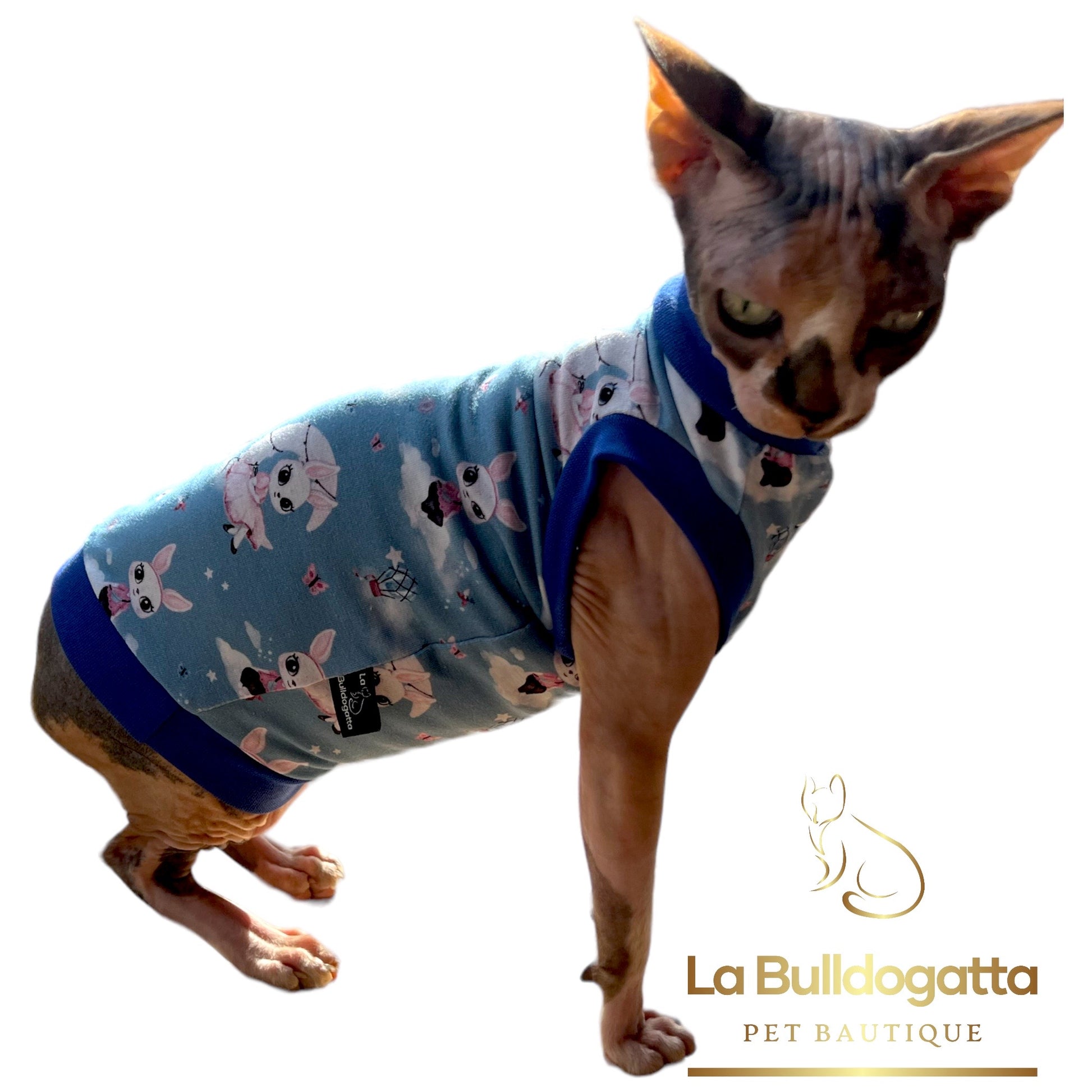 Cat Wearing Winter Cloth  Sphynx Cat Winter Coat, Reversible Fleece