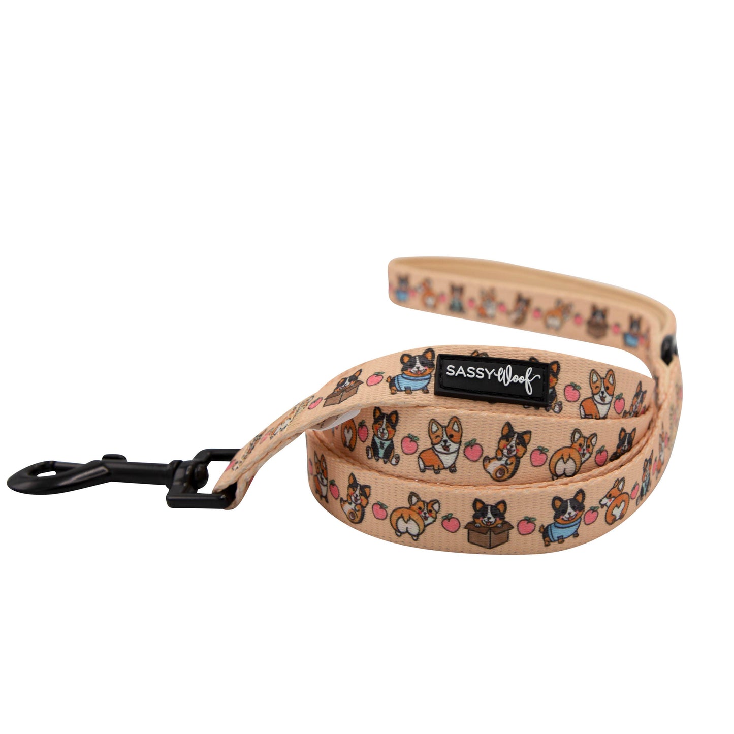 Corgilicious Fabric Leash - Corgilicious' Dog Fabric Leash