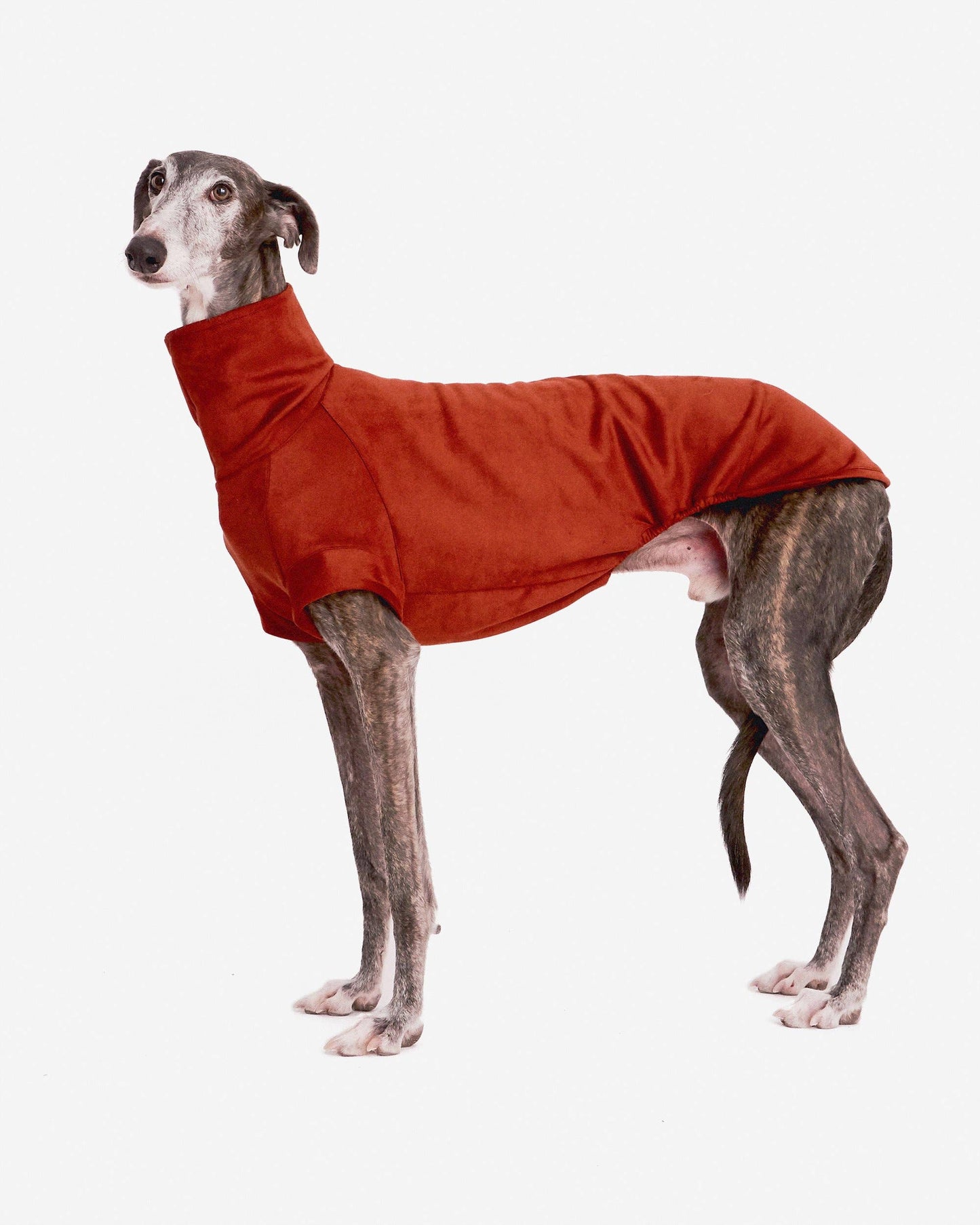 RED SLEEVELESS HOODIE FOR IGGY GREYHOUNDS 