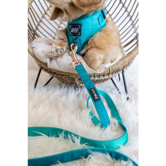 Guinzaglio in tessuto Napa - 'Napa' Dog Fabric Leash