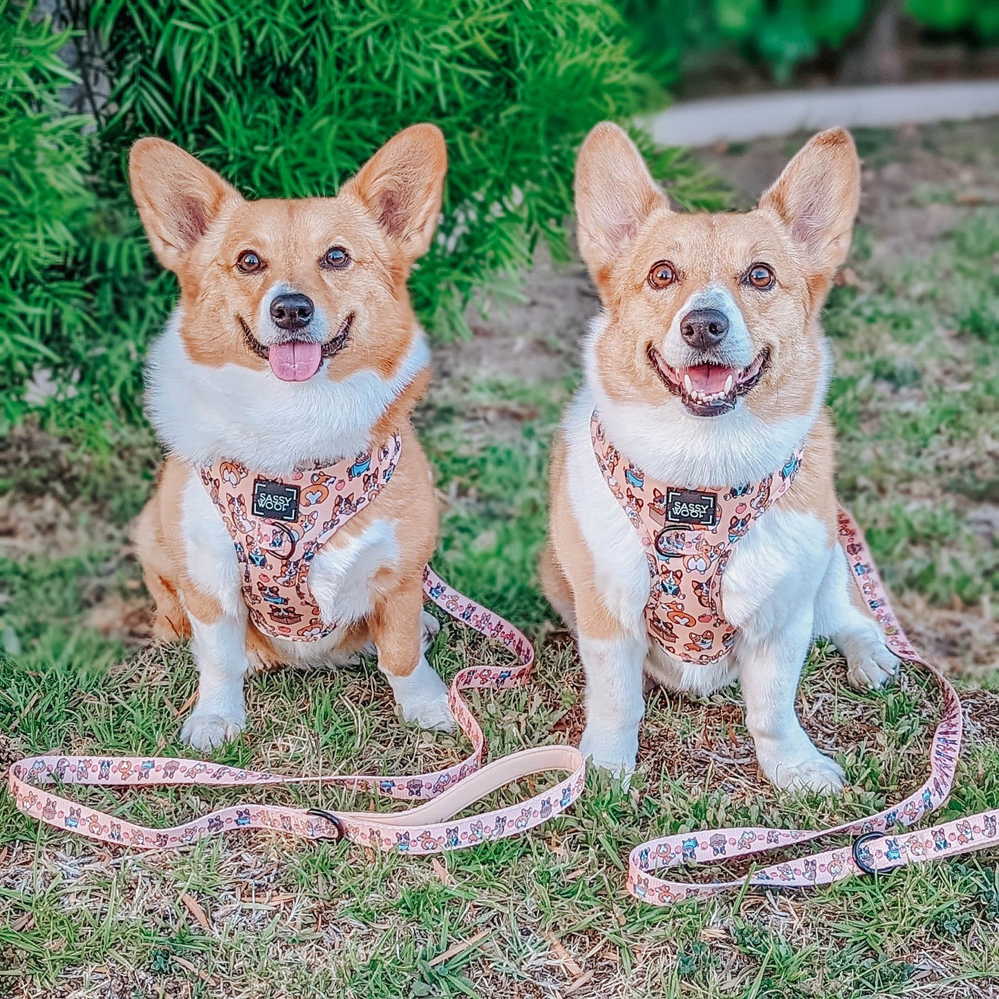 Corgilicious Fabric Leash - Corgilicious' Dog Fabric Leash