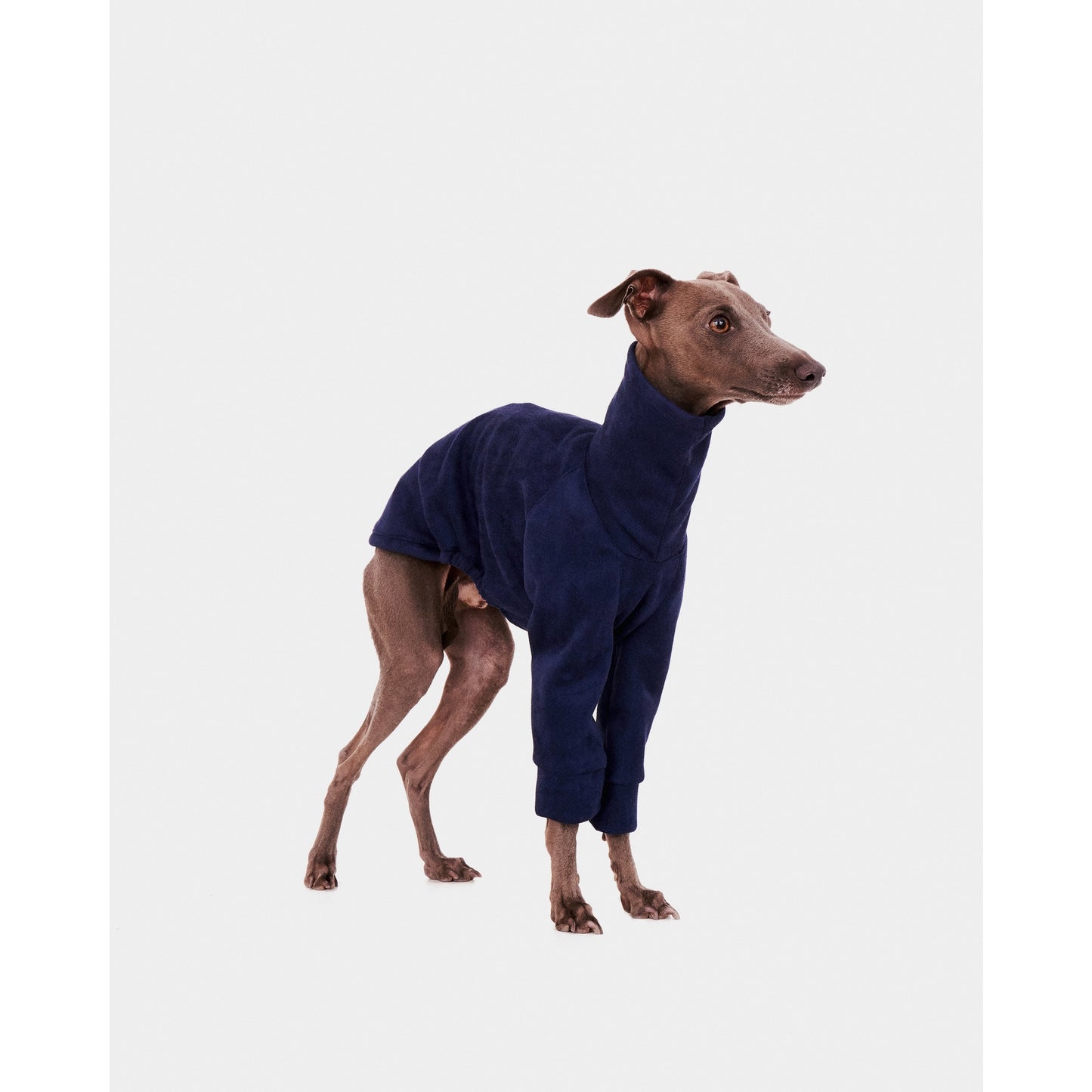 FELPA BLU CON MANICHE PER LEVRIERI WHIPPET