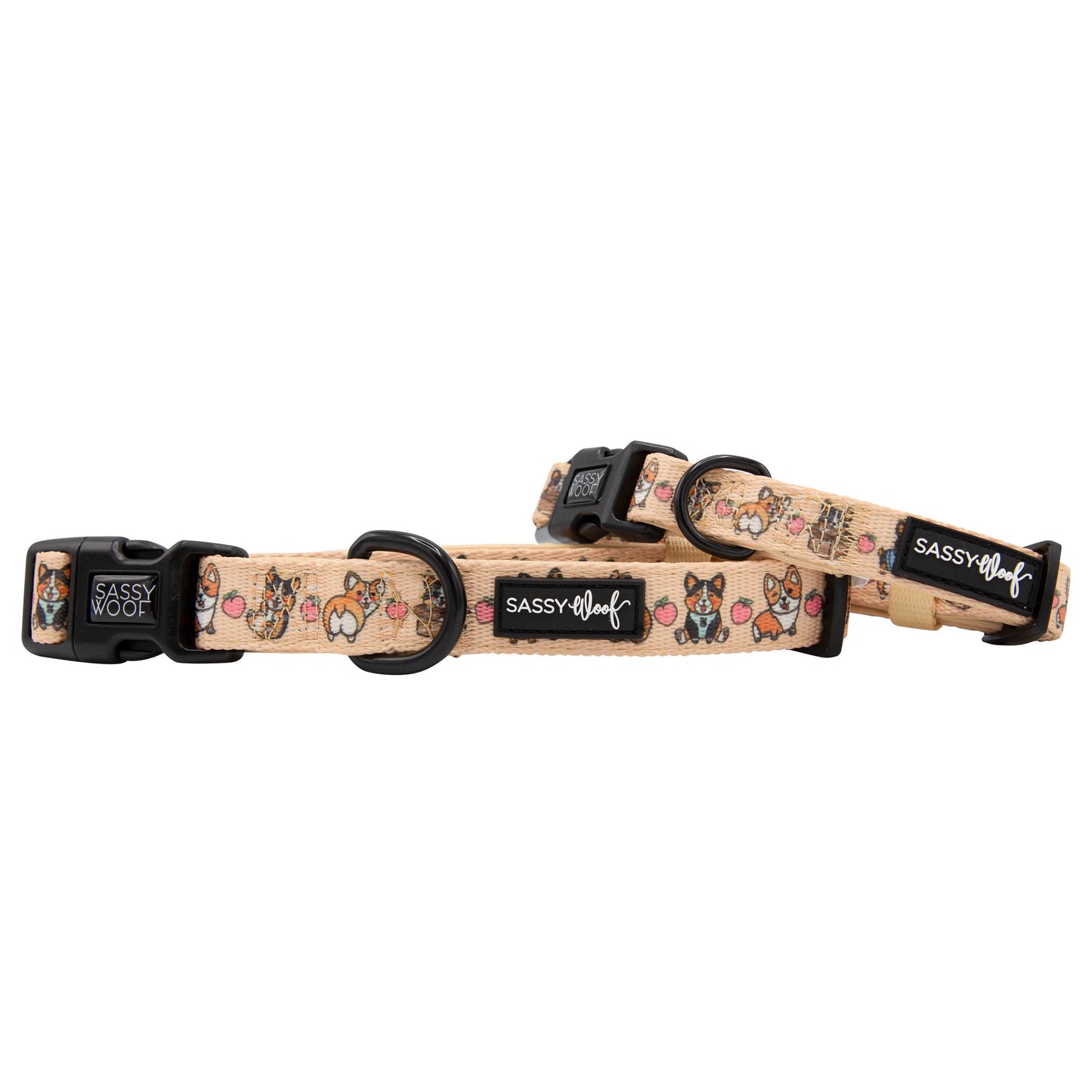 Corgilicious Dog Collar - 'Corgilicious' Dog Collar 