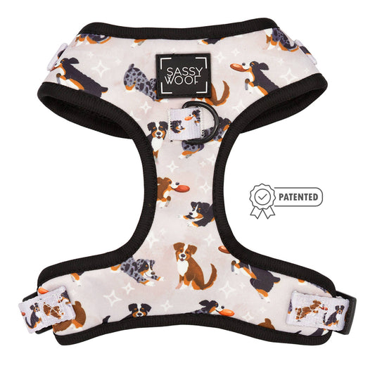 Pettorina regolabile per cane Too Much Auss - 'Too Much Auss' Adjustable Dog Harness