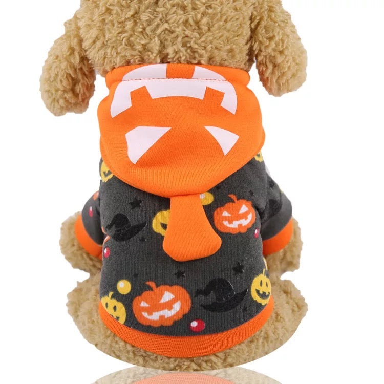 Dressed Dog Halloween pumpkin