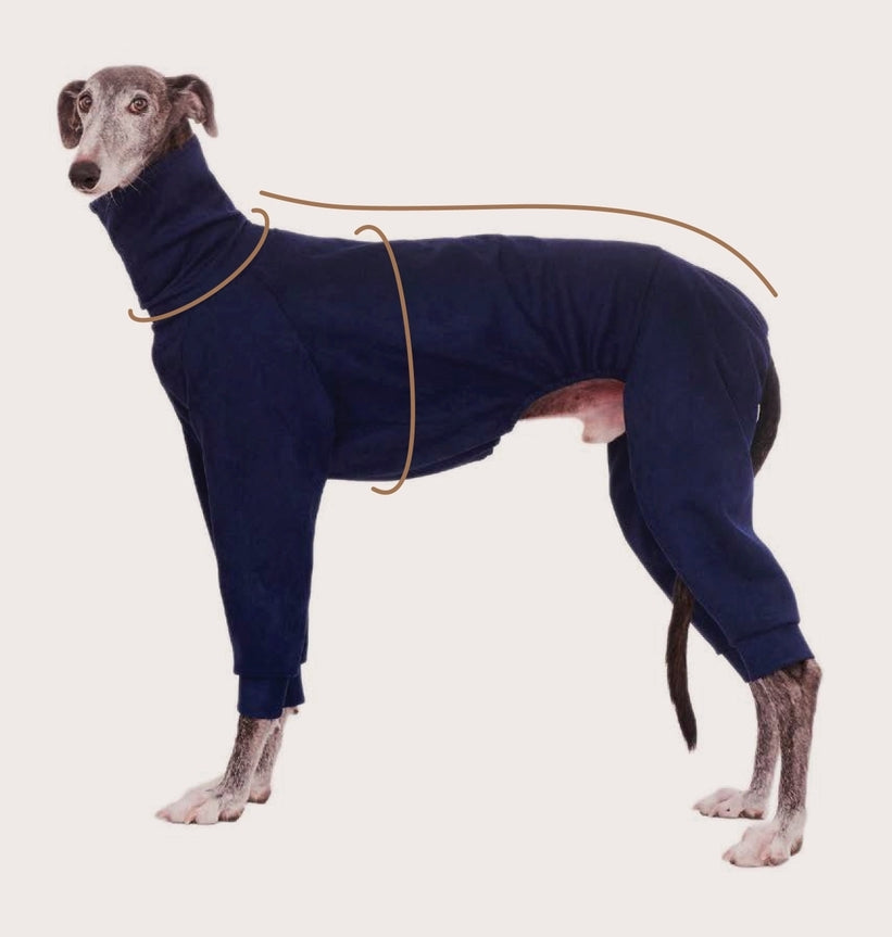 BLUE SWEATSHIRT WITH SLEEVES FOR GALGO SIGHThounds 