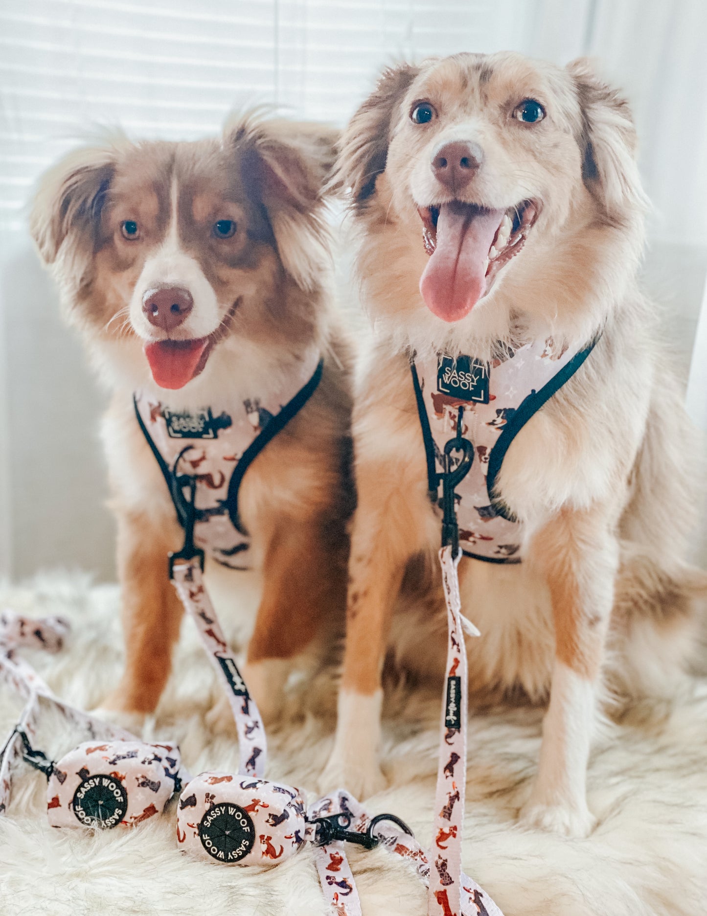Pettorina regolabile per cane Too Much Auss - 'Too Much Auss' Adjustable Dog Harness